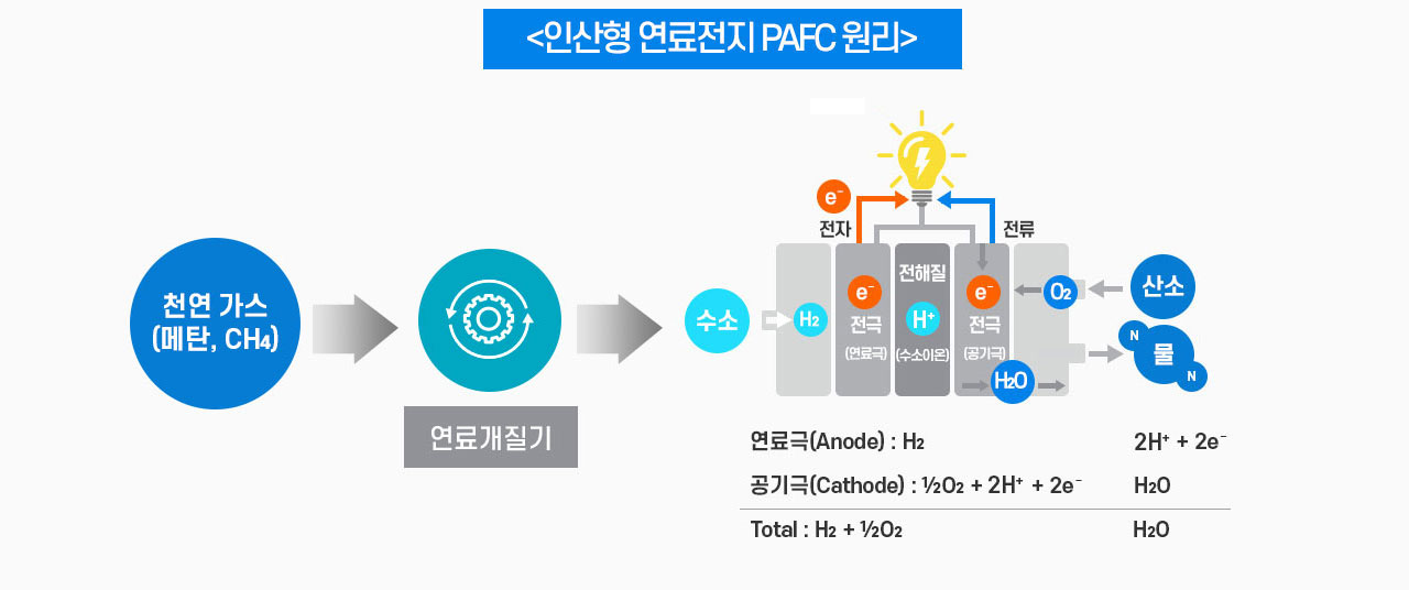 사내기자가간다