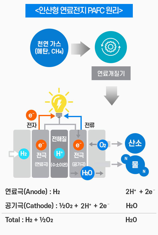 사내기자가간다