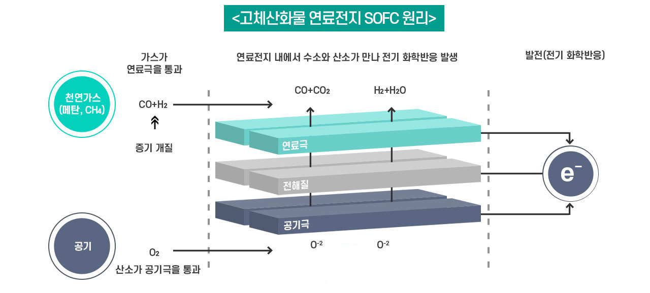 사내기자가간다