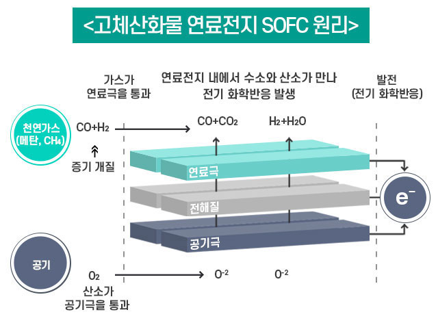 사내기자가간다