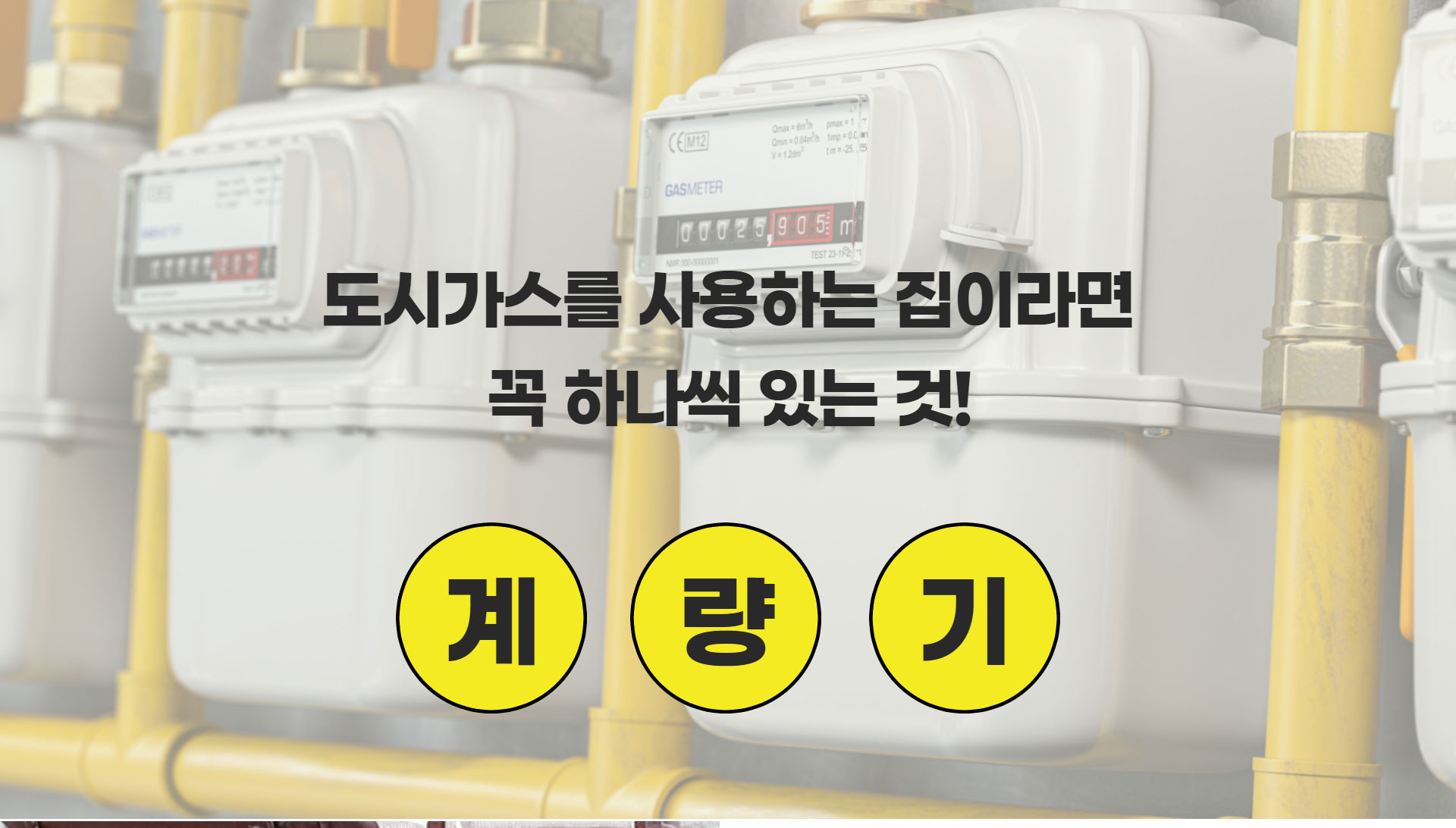 전문가칼럼