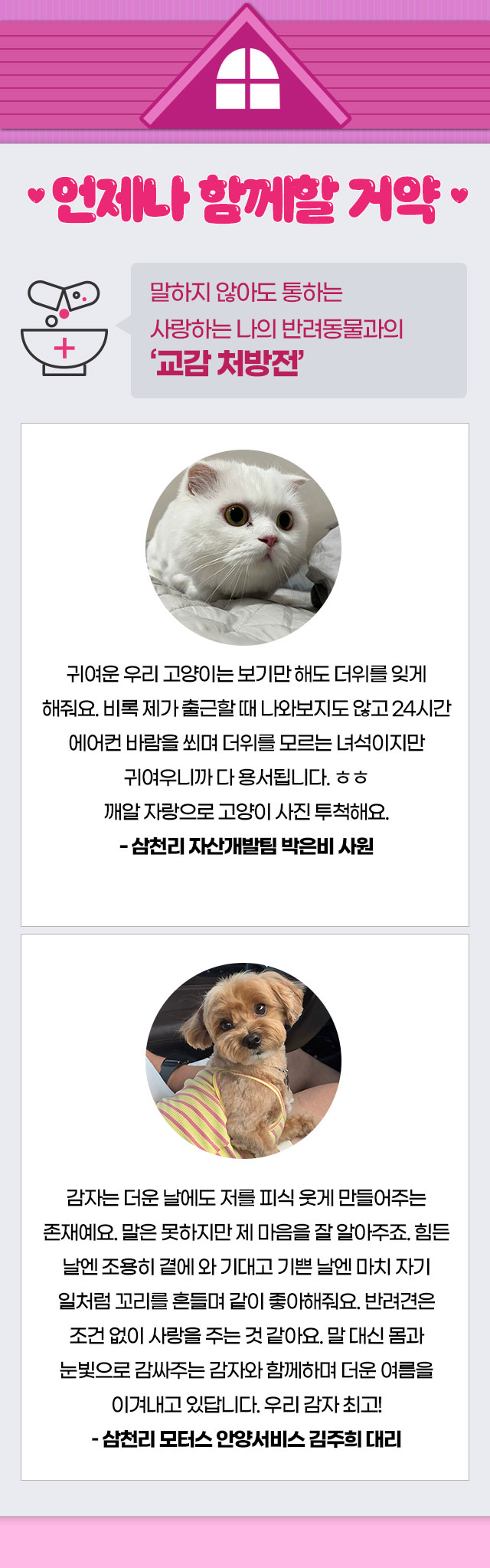 인사이드