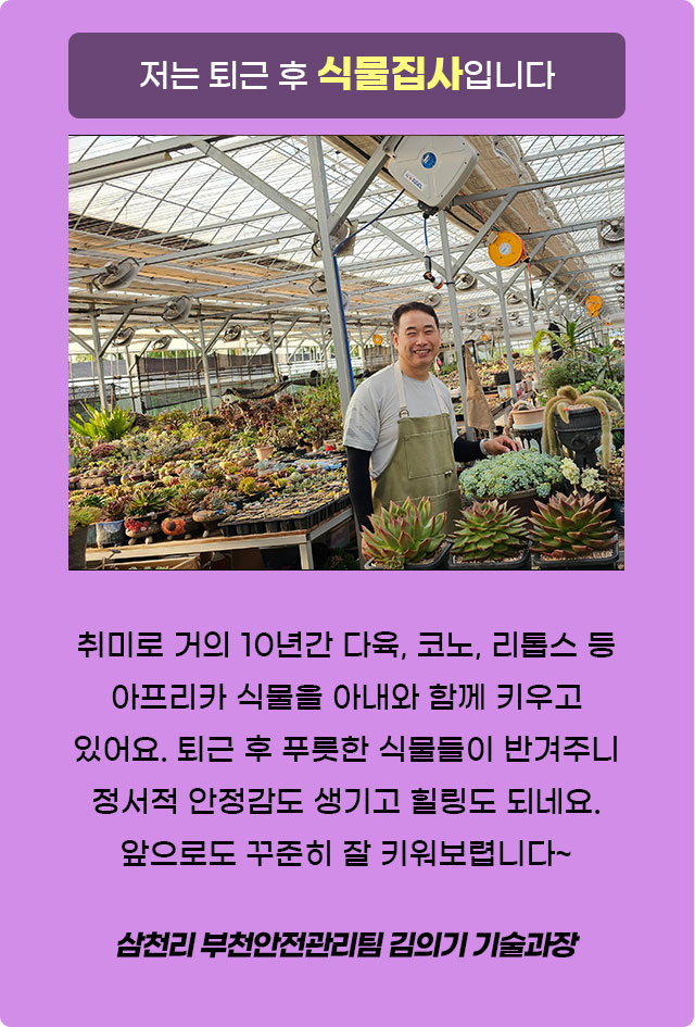 인사이드