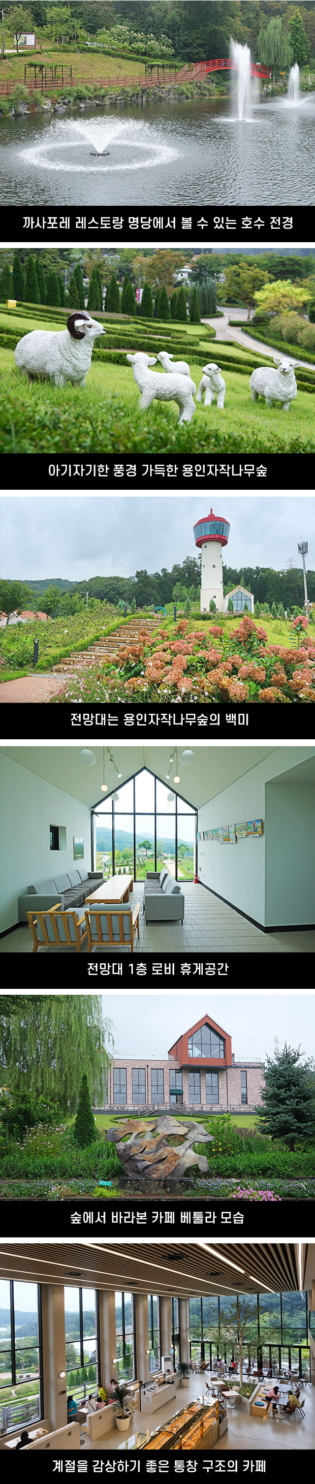 방방곡곡