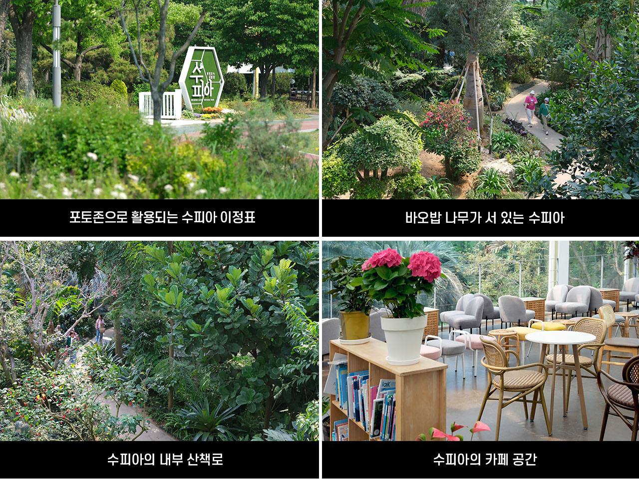 방방곡곡