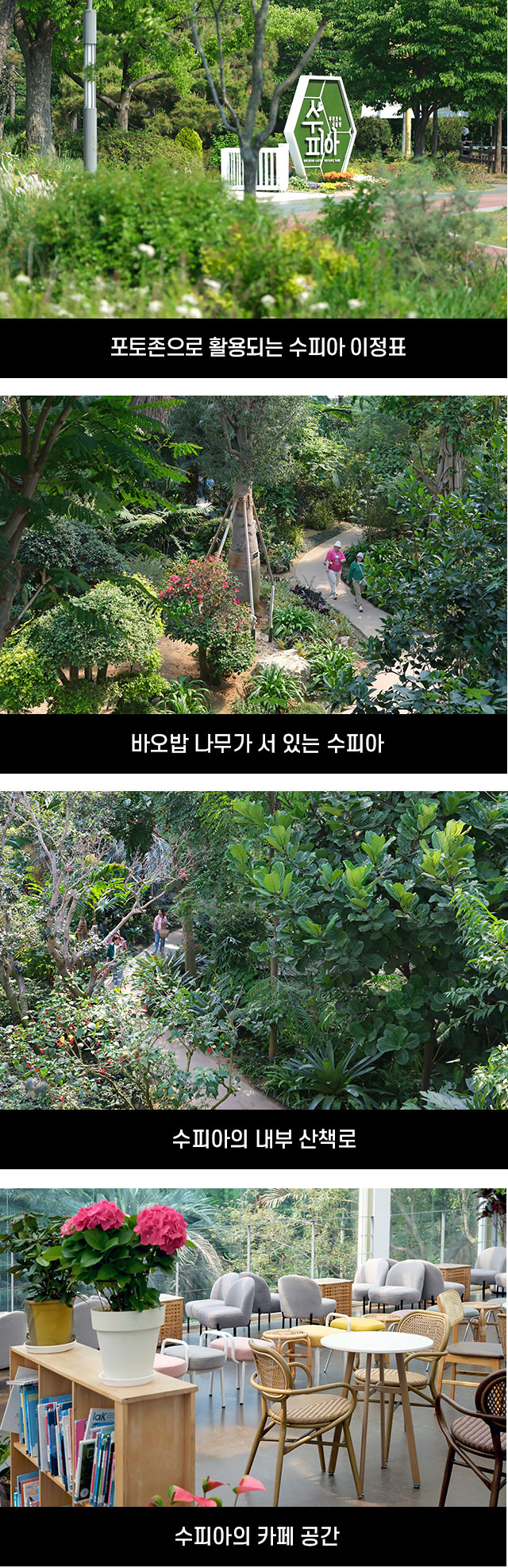방방곡곡