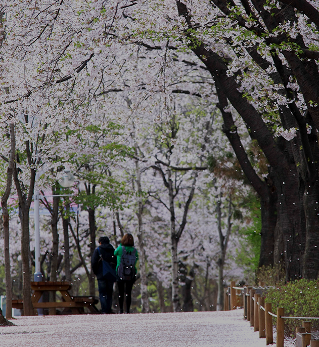 봄날의 인천 여행