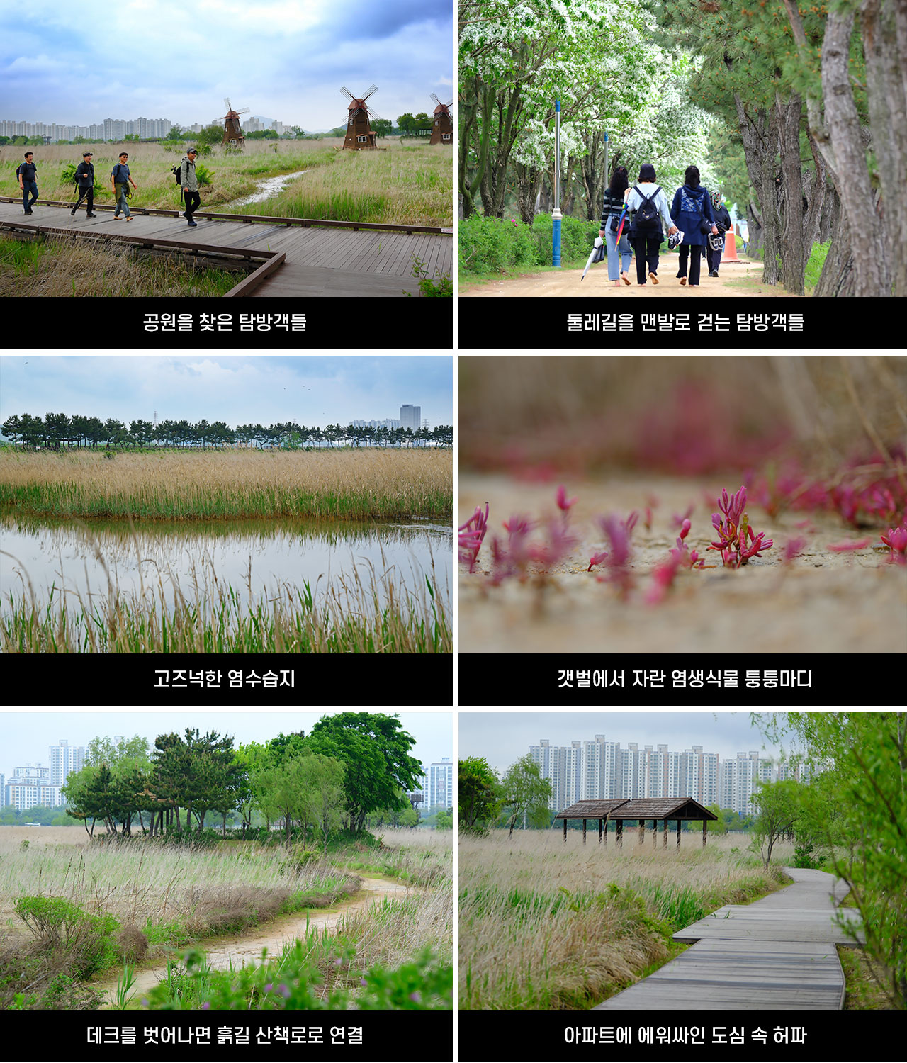 방방곡곡