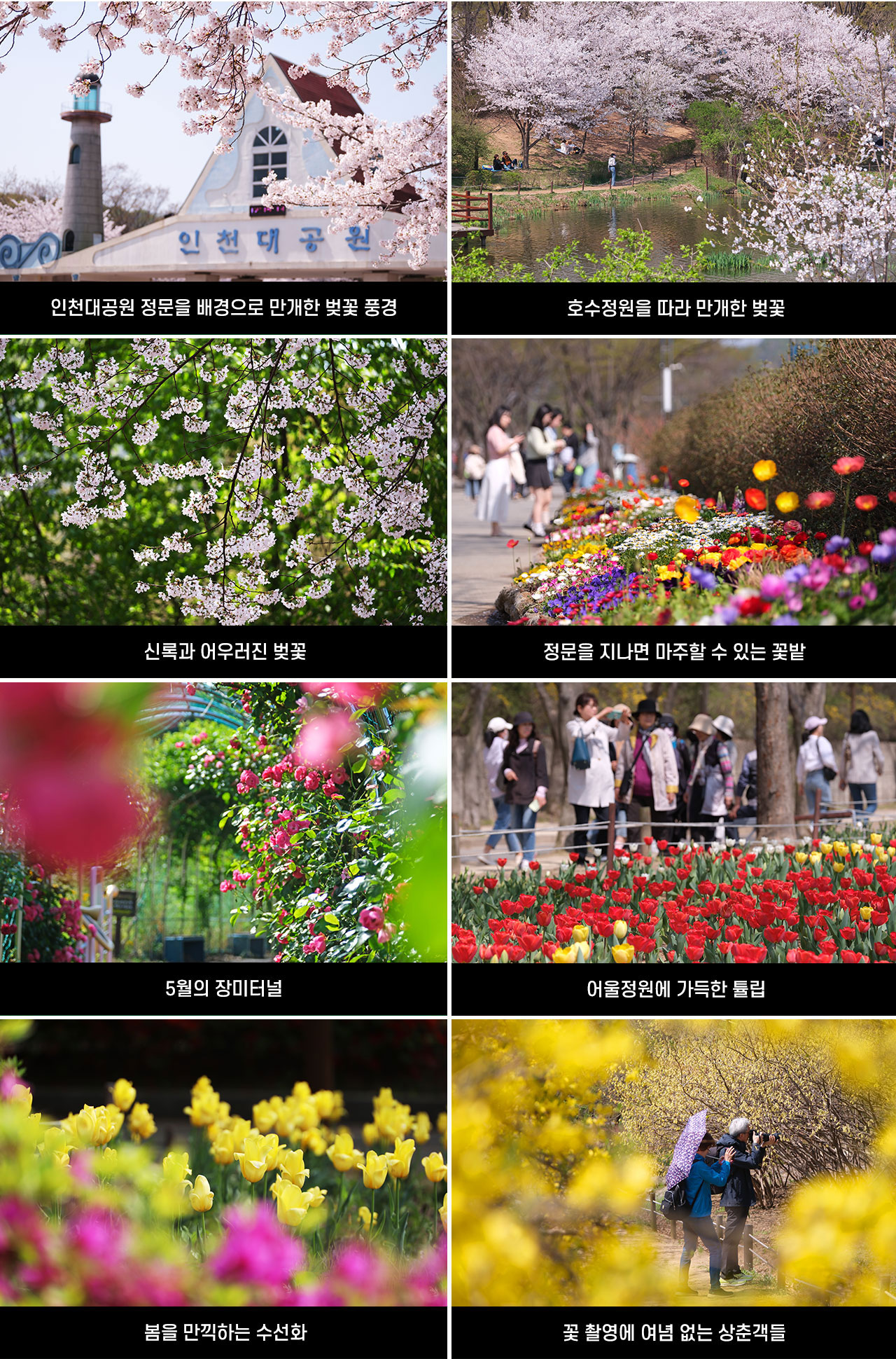 방방곡곡