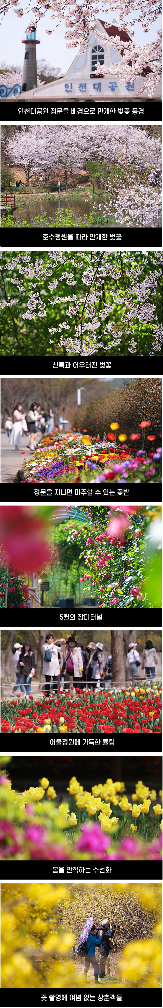방방곡곡