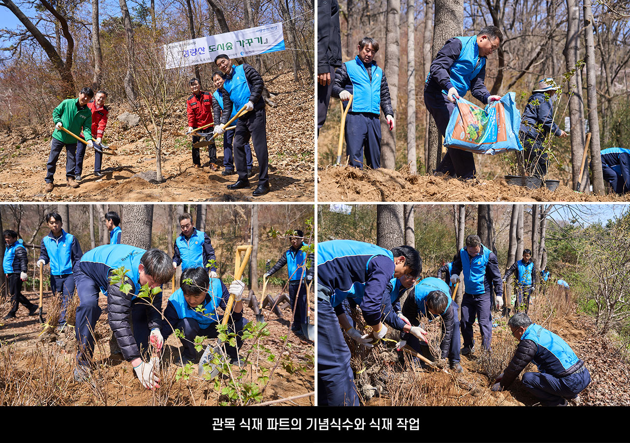 해피투게더