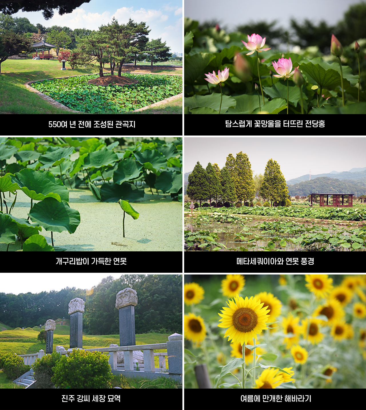 방방곡곡