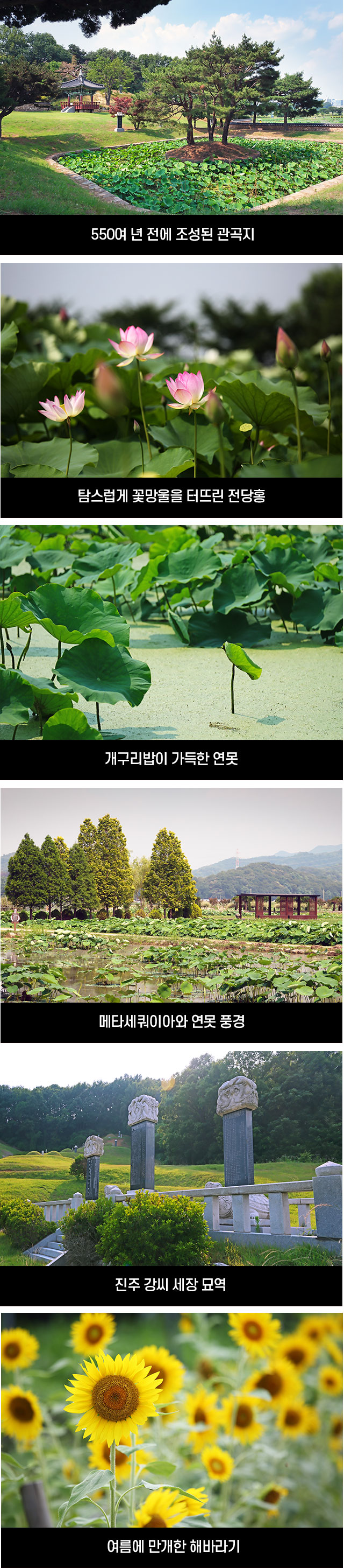 방방곡곡