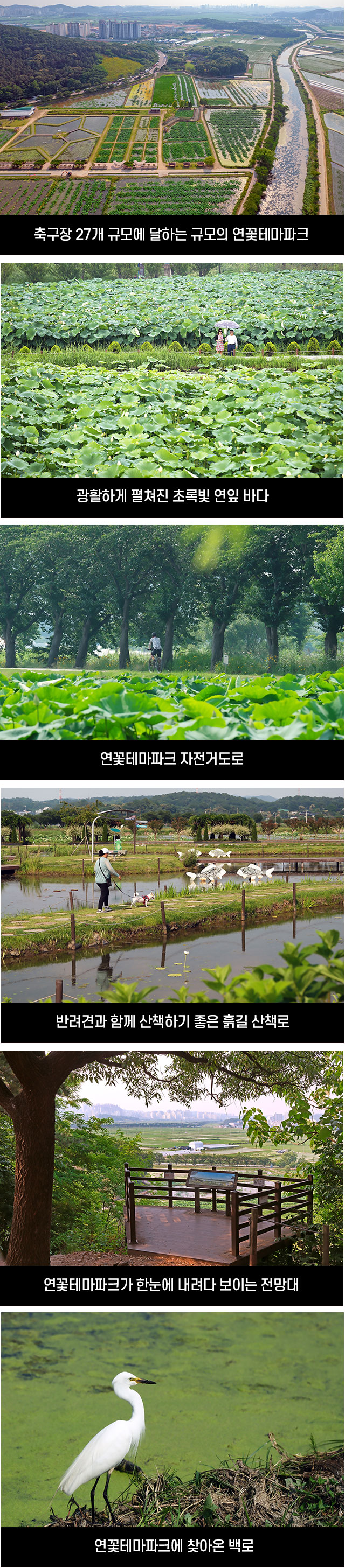 방방곡곡