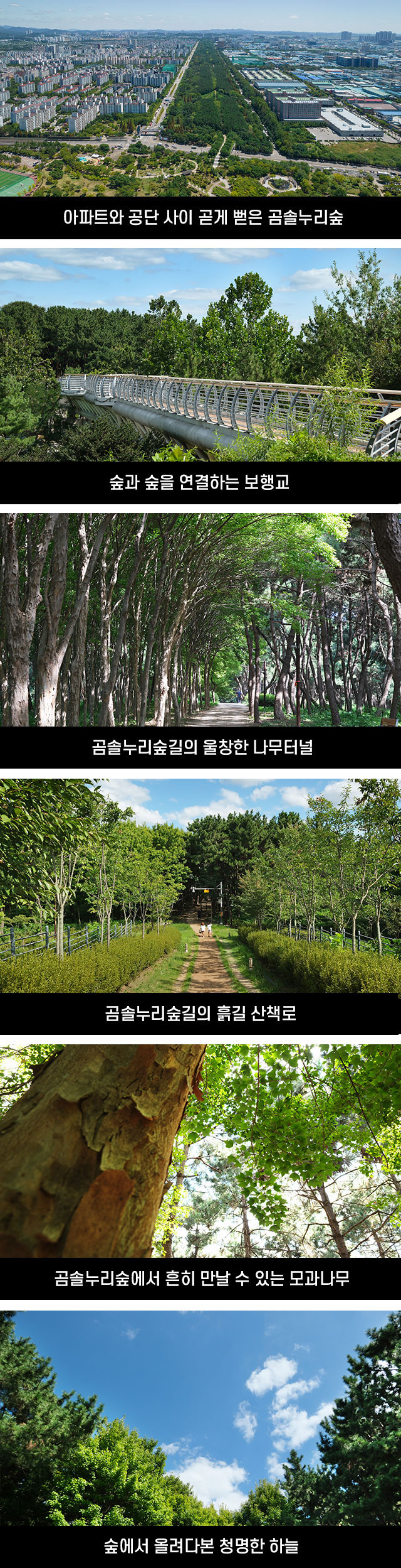 방방곡곡